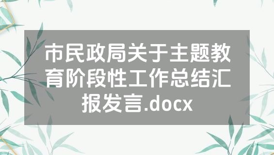 市民政局关于主题教育阶段性工作总结汇报发言.docx
