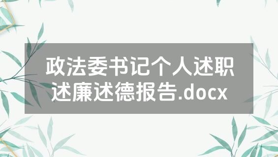 政法委书记个人述职述廉述德报告.docx