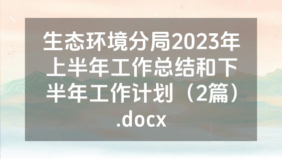 生态环境分局2023年上半年工作总结和下半年工作计划（2篇）.docx