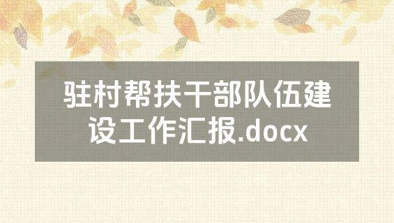 驻村帮扶干部队伍建设工作汇报.docx