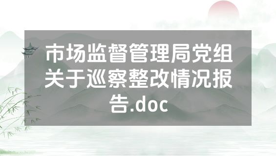市场监督管理局党组关于巡察整改情况报告.doc