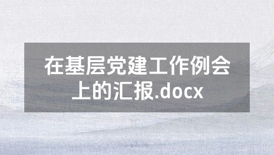 在基层党建工作例会上的汇报.docx