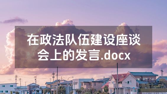 在政法队伍建设座谈会上的发言.docx