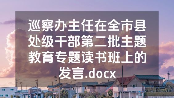 巡察办主任在全市县处级干部第二批主题教育专题读书班上的发言.docx