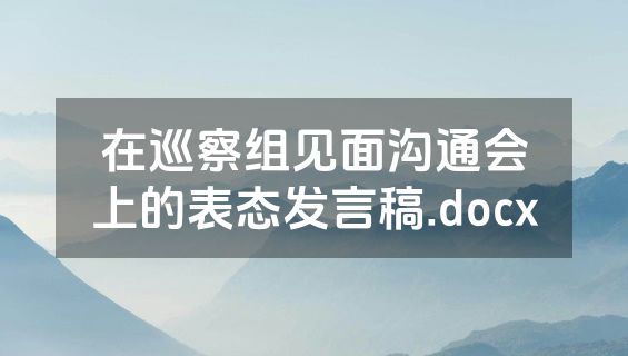 在巡察组见面沟通会上的表态发言稿.docx