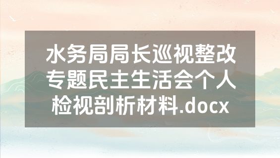 水务局局长巡视整改专题民主生活会个人检视剖析材料.docx
