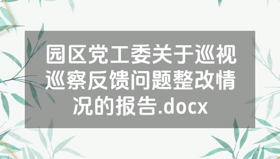 园区党工委关于巡视巡察反馈问题整改情况的报告.docx