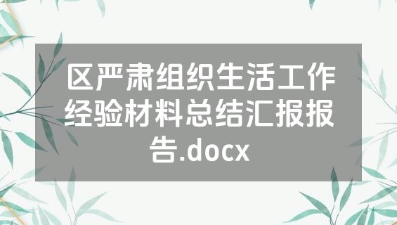 区严肃组织生活工作经验材料总结汇报报告.docx