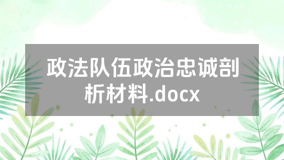 政法队伍政治忠诚剖析材料.docx