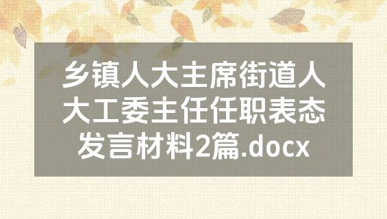 乡镇人大主席街道人大工委主任任职表态发言材料2篇.docx