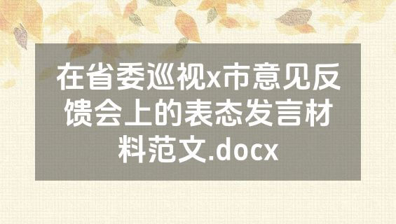 在省委巡视x市意见反馈会上的表态发言材料范文.docx