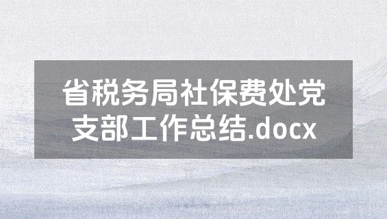 省税务局社保费处党支部工作总结.docx