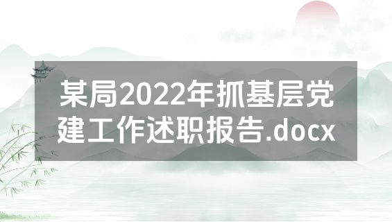 某局2022年抓基层党建工作述职报告.docx