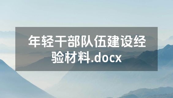 年轻干部队伍建设经验材料.docx