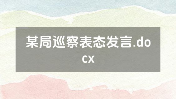 某局巡察表态发言.docx