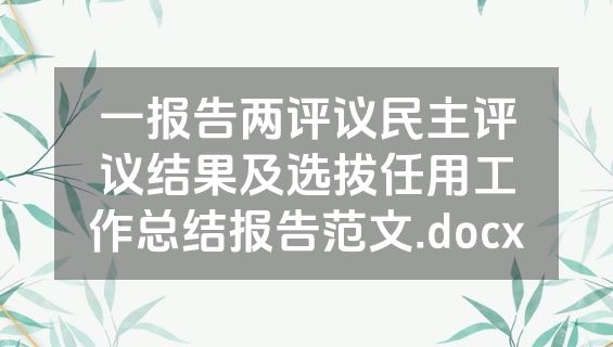 一报告两评议民主评议结果及选拔任用工作总结报告范文.docx