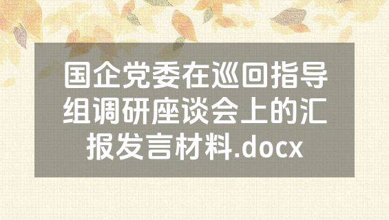 国企党委在巡回指导组调研座谈会上的汇报发言材料.docx