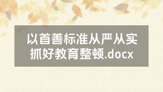 以首善标准从严从实抓好教育整顿.docx