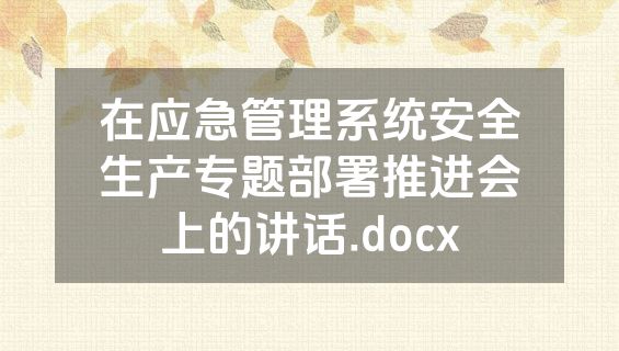 在应急管理系统安全生产专题部署推进会上的讲话.docx