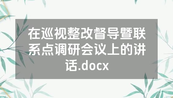 在巡视整改督导暨联系点调研会议上的讲话.docx