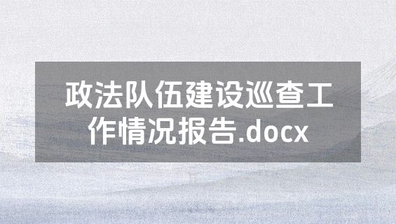 政法队伍建设巡查工作情况报告.docx