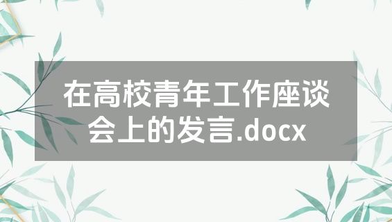 在高校青年工作座谈会上的发言.docx