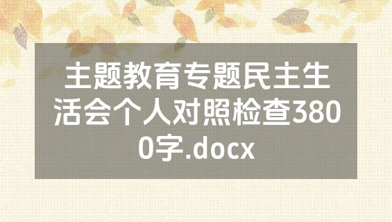 主题教育专题民主生活会个人对照检查3800字.docx