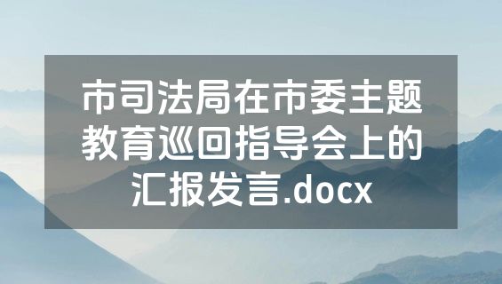 市司法局在市委主题教育巡回指导会上的汇报发言.docx