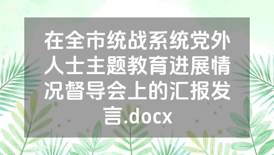 在全市统战系统党外人士主题教育进展情况督导会上的汇报发言.docx