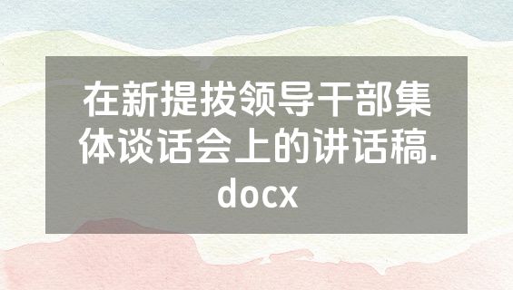 在新提拔领导干部集体谈话会上的讲话稿.docx