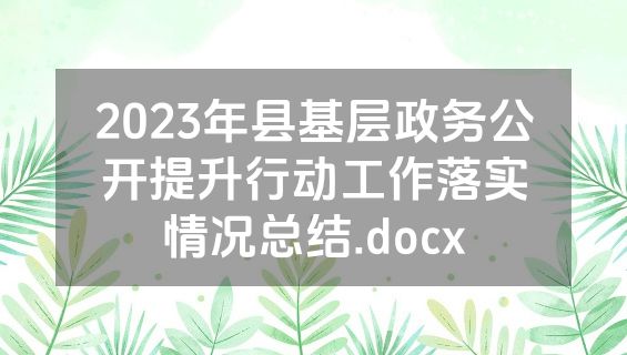 2023年县基层政务公开提升行动工作落实情况总结.docx