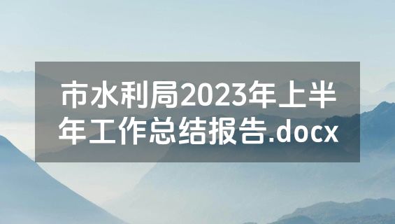 市水利局2023年上半年工作总结报告.docx