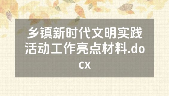 乡镇新时代文明实践活动工作亮点材料.docx