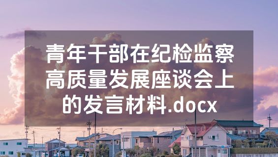 青年干部在纪检监察高质量发展座谈会上的发言材料.docx