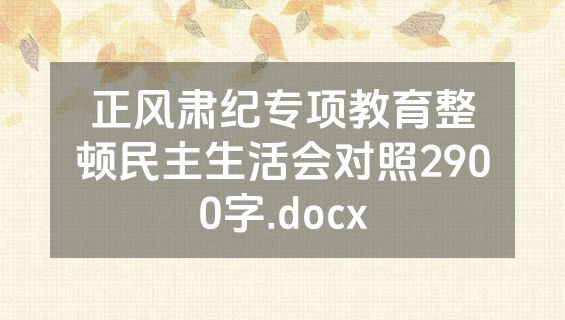 正风肃纪专项教育整顿民主生活会对照2900字.docx