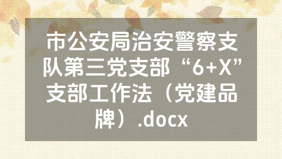 市公安局治安警察支队第三党支部“6+X”支部工作法（党建品牌）.docx