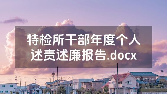 特检所干部年度个人述责述廉报告.docx