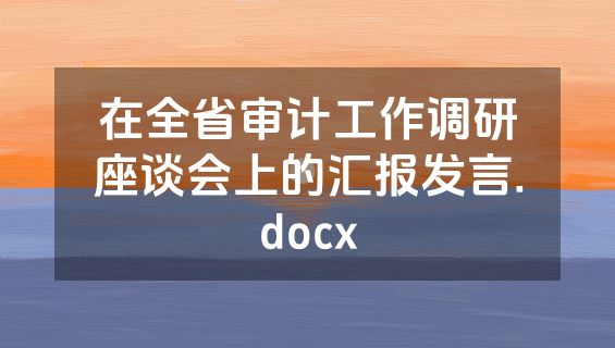 在全省审计工作调研座谈会上的汇报发言.docx