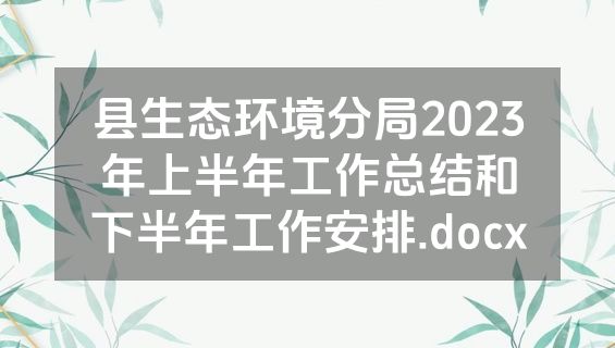 县生态环境分局2023年上半年工作总结和下半年工作安排.docx
