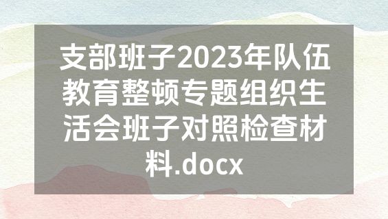 支部班子2023年队伍教育整顿专题组织生活会班子对照检查材料.docx