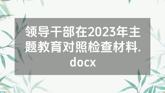 领导干部在2023年主题教育对照检查材料.docx