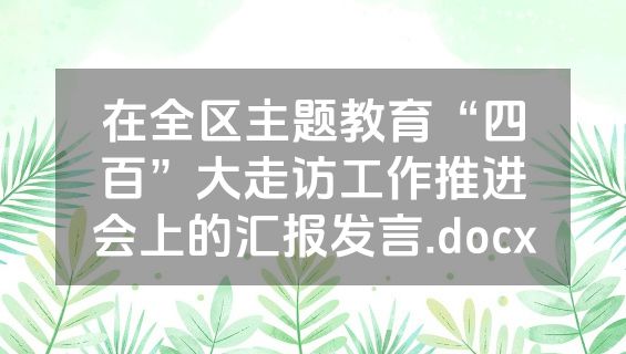 在全区主题教育“四百”大走访工作推进会上的汇报发言.docx