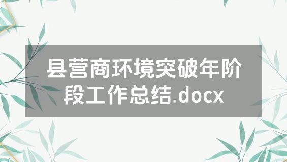 县营商环境突破年阶段工作总结.docx