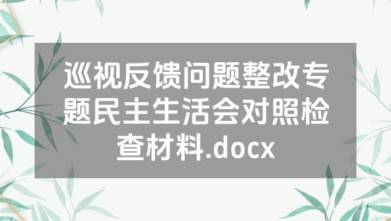 巡视反馈问题整改专题民主生活会对照检查材料.docx