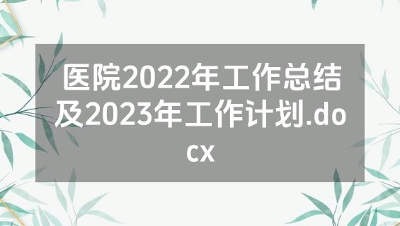 医院2022年工作总结及2023年工作计划.docx