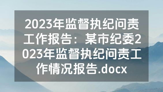 2023年监督执纪问责工作报告：某市纪委2023年监督执纪问责工作情况报告.docx