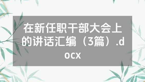 在新任职干部大会上的讲话汇编（3篇）.docx