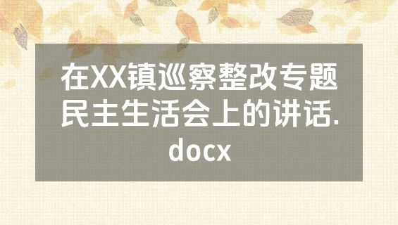 在XX镇巡察整改专题民主生活会上的讲话.docx