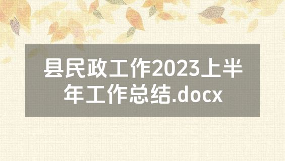 县民政工作2023上半年工作总结.docx
