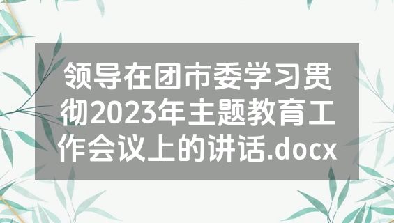 领导在团市委学习贯彻2023年主题教育工作会议上的讲话.docx